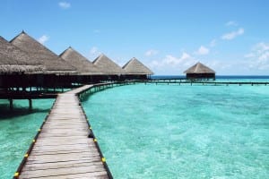 path to paradise